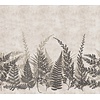 Noordwand Herbarium Fotobehang met varentakken - HED27292