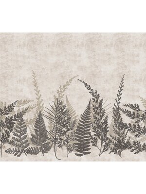 Noordwand Herbarium Fotobehang met varentakken - HED27292