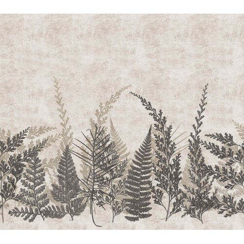 Noordwand Herbarium Fotobehang met varentakken - HED27292