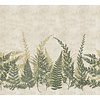 Noordwand Herbarium Fotobehang met varentakken - HED27293