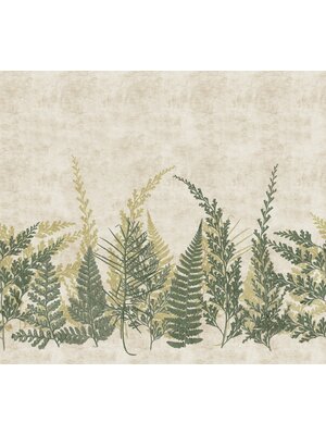 Noordwand Herbarium Fotobehang met varentakken - HED27293