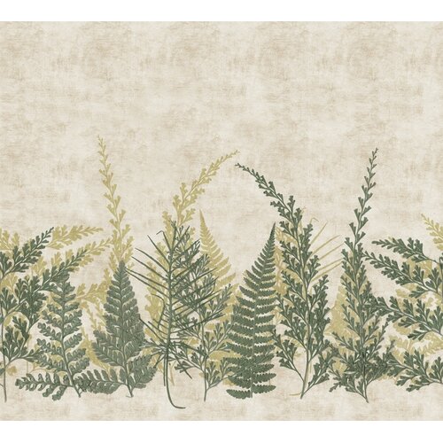 Noordwand Herbarium Fotobehang met varentakken - HED27293