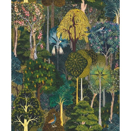 10,05m x 53cm 10,05m x 53cm