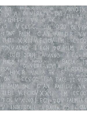 Noordwand Jackie Behang met zilveren letters - 6824-40