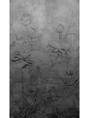 Noordwand Jackie Fotobehang met pioenrozen op degradÃ© beton look - 81602