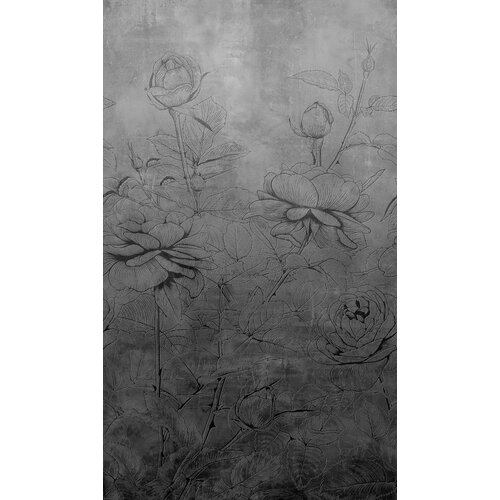 2,7m x 1,59m 2,7m x 1,59m