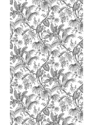 Noordwand Jackie Fotobehang met zwart-witte tropische bladeren - 81600