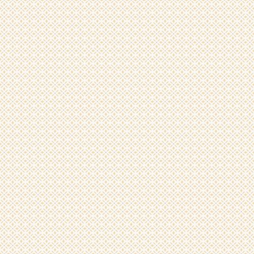 10,05m x 53cm