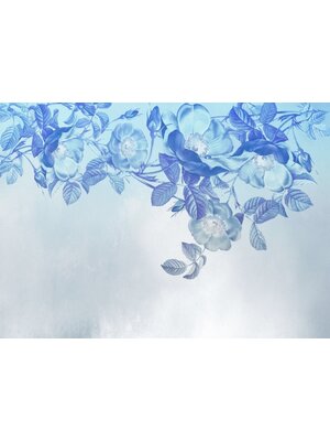 Noordwand Komar Colours Fotobehang Blue Aura - X7-1094