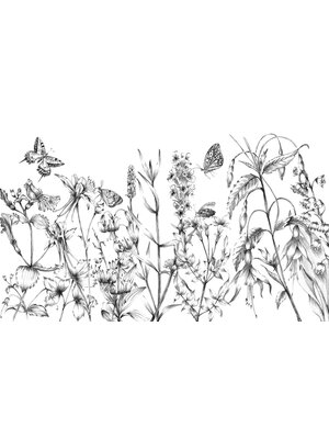 Noordwand Komar Colours Fotobehang Butterfly Field - X8-1085