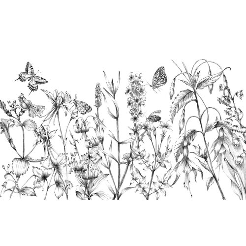 2,5m x 4cm 2,5m x 4cm