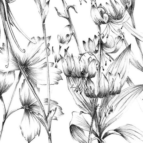 2,5m x 4cm 2,5m x 4cm