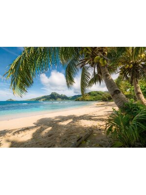 Noordwand Komar Colours Fotobehang Castaway - 8-126