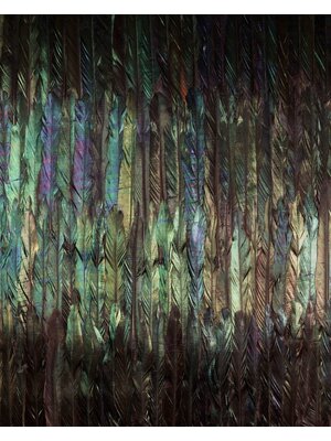 Noordwand Komar Colours Fotobehang Dark Wings - X4-1081