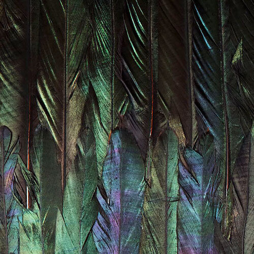 Noordwand Komar Colours Fotobehang Dark Wings - X4-1081