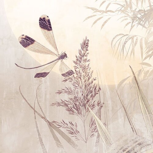 Noordwand Komar Colours Fotobehang Dragonfly Pond - X7-1092