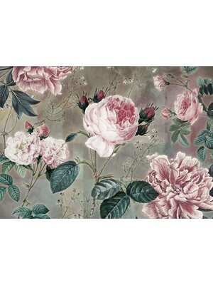 Noordwand Komar Colours Fotobehang Everlasting - X7-1075