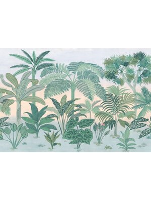 Noordwand Komar Colours Fotobehang Jungara - 8-334