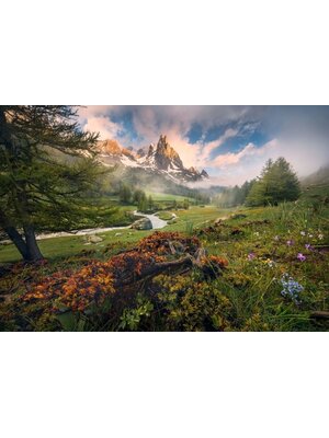 Noordwand Komar Colours Fotobehang Morning Walk - 8-133