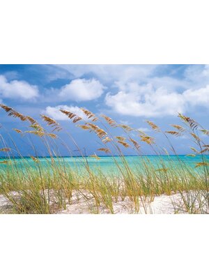 Noordwand Komar Colours Fotobehang Ocean Breeze - 8-515