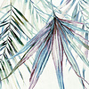 Noordwand Komar Colours Fotobehang Palm Spring - X7-1097
