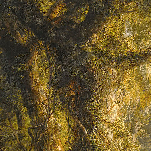 Noordwand Komar Colours Fotobehang Rio de Luz - X8-1084