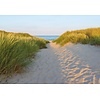Noordwand Komar Colours Fotobehang Sandy Path - 8-995
