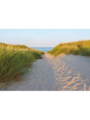 Noordwand Komar Colours Fotobehang Sandy Path - 8-995