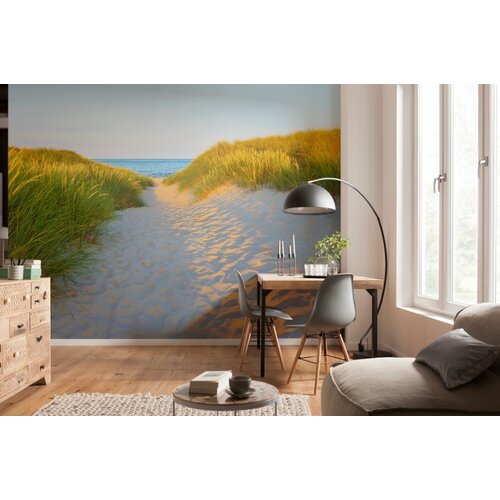 Noordwand Komar Colours Fotobehang Sandy Path - 8-995