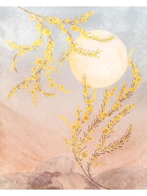 Noordwand Komar Colours Fotobehang Sol - X4-1091