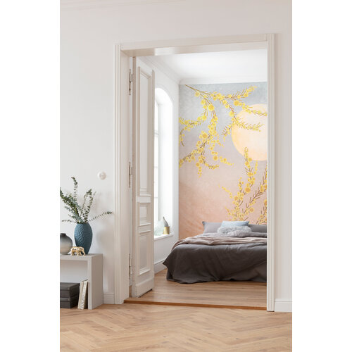 2,5m x 2m 2,5m x 2m