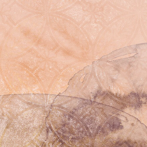 Noordwand Komar Colours Fotobehang Sol - X4-1091