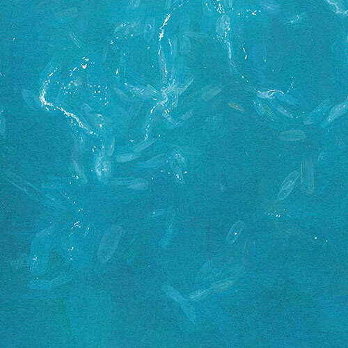 Noordwand Komar Colours Fotobehang The Shore - X5-1089