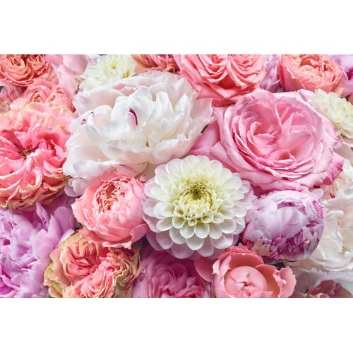 Noordwand Komar Colours Fotobehang Vibrant Spring - 8-335