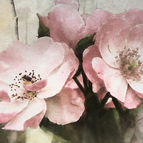 Noordwand Komar Dots Behangcirkel Flemish Flowers - D1-036