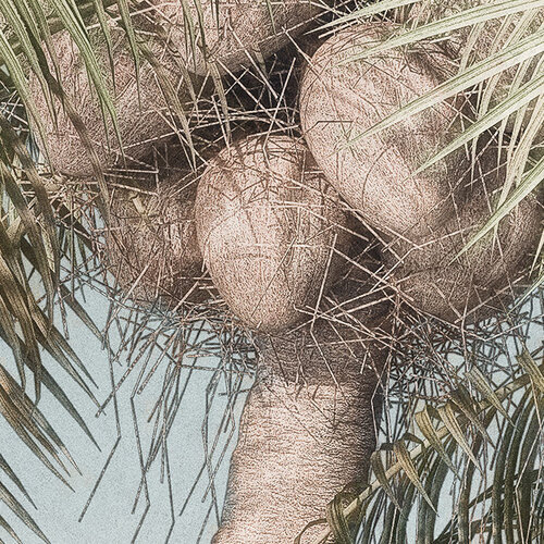 Noordwand Komar Dots Behangcirkel Hush - D1-027