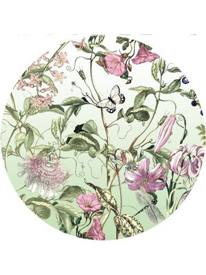 Noordwand Komar Dots Behangcirkel Louloudi - D1-075