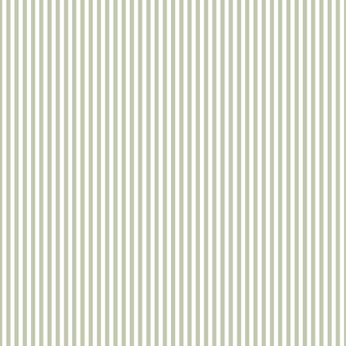 10,05m x 53cm 10,05m x 53cm