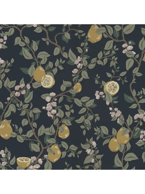 Sandberg Huset I Solen 432-96