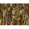Dutch Wallcoverings FC Carrara 3 10mx106cm  - 84631