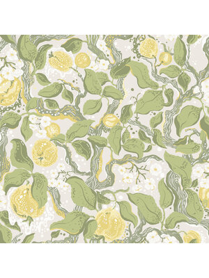 Dutch Wallcoverings FC Fägring- Kart geel - 22027