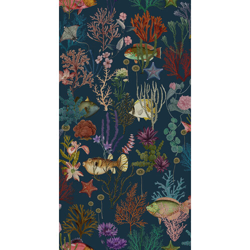 10,05m x 53cm
