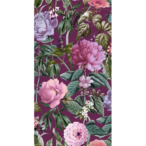 10,05m x 53cm 10,05m x 53cm