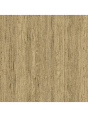 Dutch Wallcoverings FC Elements- Trä Ash - 11908