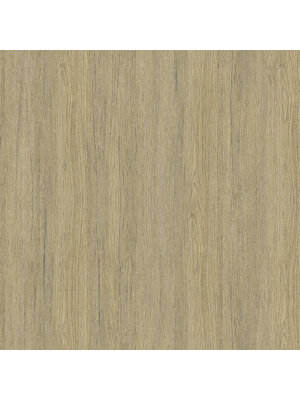 Dutch Wallcoverings FC Elements- Trä Nature - 11905
