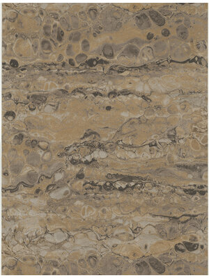 Dutch Wallcoverings FC Fusione- 53cmx10m - 73519