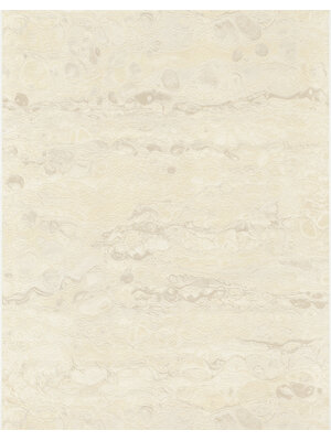 Dutch Wallcoverings FC Fusione- 53cmx10m - 73517