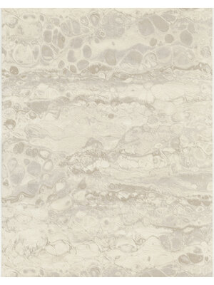 Dutch Wallcoverings FC Fusione- 53cmx10m - 73516