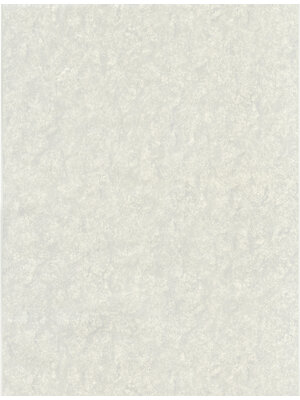 Dutch Wallcoverings FC Fusione- 53cmx10m - 73509