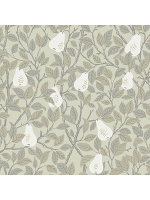 Dutch Wallcoverings FC Angas- Pirum Beige - 13101